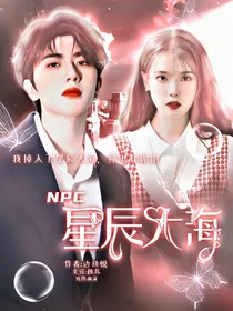 NPC：星辰大海