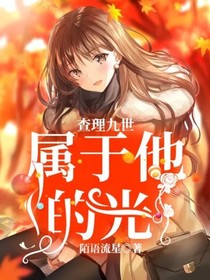 查理九世：属于他的光