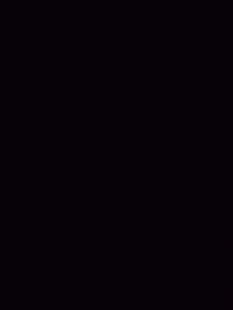 关于MC与迷你的战争