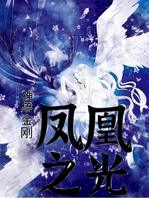 神兽金刚之凤凰之光