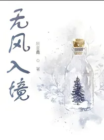 无风入境
