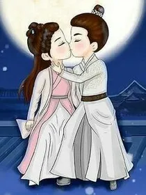 锦衣之下之陆缘的视角自述