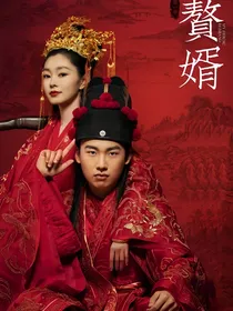 赘婿（我是公主）