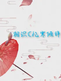 相识忆寒倾辞