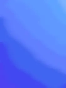 再见！！？