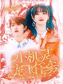 小机灵宠飞任务