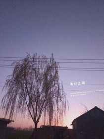 故事与你同在