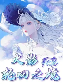 火影Fate轮回之境