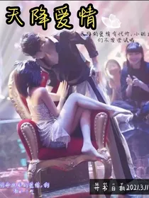 天降爱情