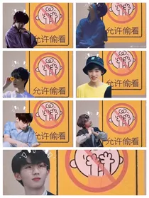 TNT团宠宝贝
