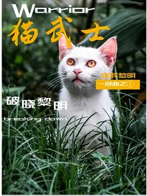 猫武士一部曲1破晓黎明