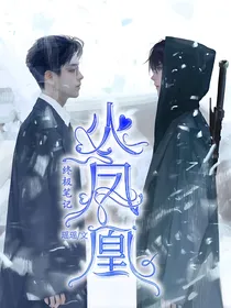 终极笔记之火凤凰