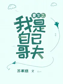 重生之我是自己哥夫