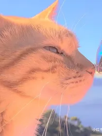 猫武士：双重猫格