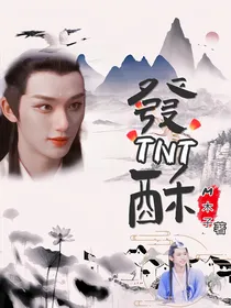 TNT：发酥