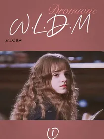 I德赫WLDM