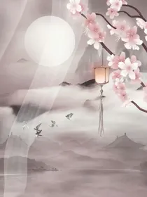 若七七封面铺