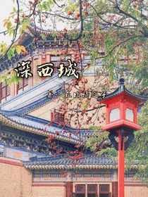 深西城