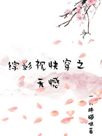 综影视快穿之无憾
