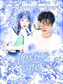 像夏季的风