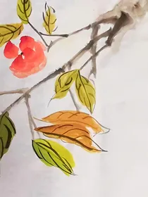 知否：掌家大娘子