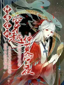 神兽金刚之穿越仲夏宁夜
