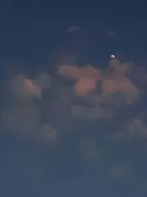 书摘图片馆