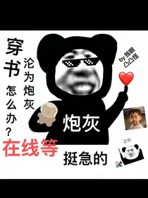 穿书：沦为书里小炮灰