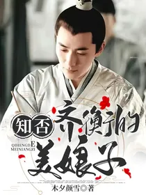 知否：齐衡的美娘子
