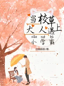 当校草大人遇上小学霸