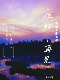 穿越王者荣耀：你好，再见