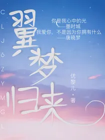 查理九世之翼梦归来