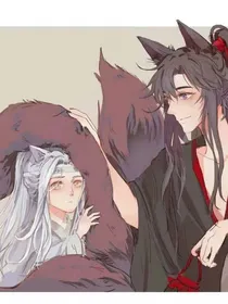 随意评论