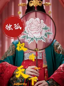 独孤—权情天下