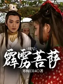 霹雳菩萨续写