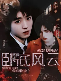 TF：卧底风云