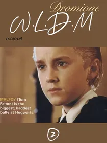 II德赫WLDM