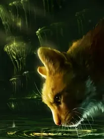 猫武士（闪电来袭）