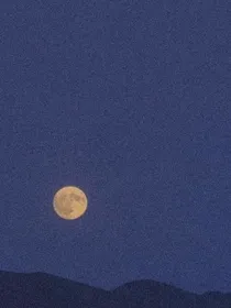 暖暖欢心