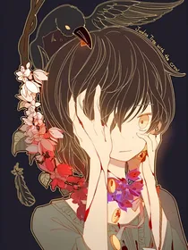 飞鸟传说