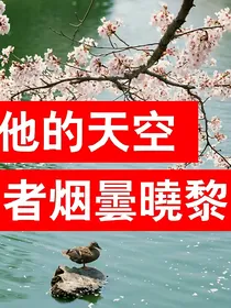 他的天空