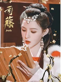 司藤：一叶知秋