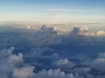 花之传说
