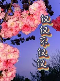 仅仅不仅仅