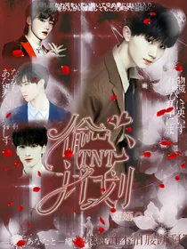 TNT——偷心系统