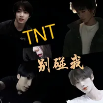 TNT：别碰我