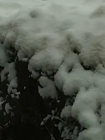烈空座神奇宝贝世界
