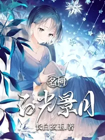 名柯：白光景月