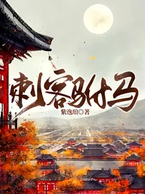 刺客驸马