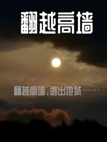 翻越高墙